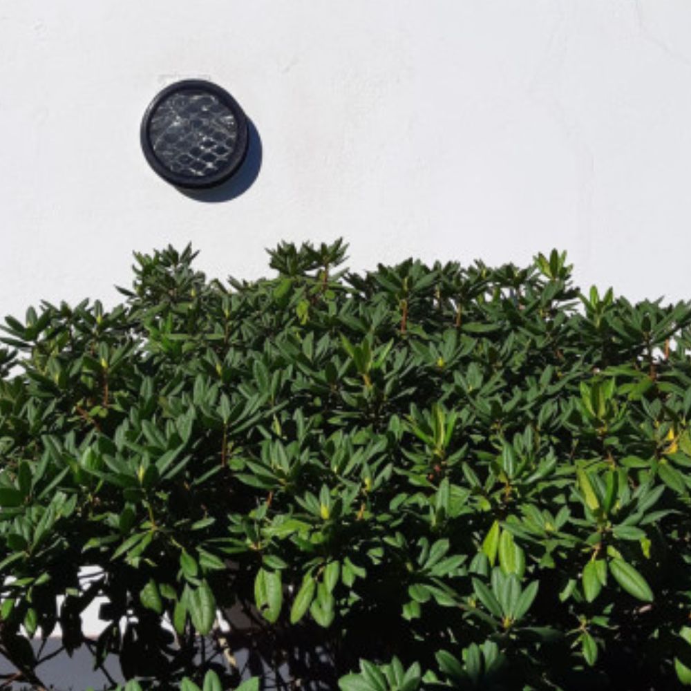 Wall mounted CRADLE